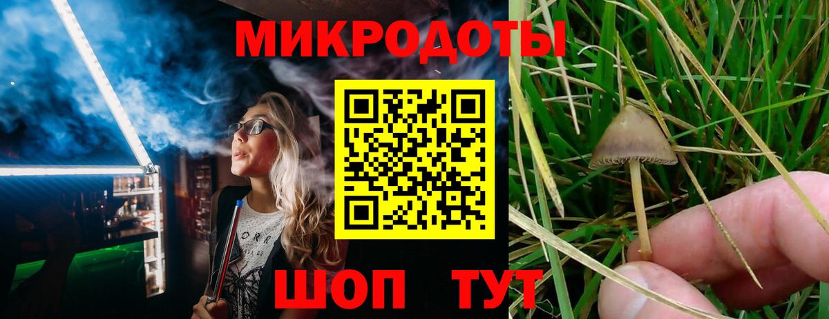 Псилоцибиновые грибы мицелий  Вход с VPN  Калининград  Галлюциногенные грибы Psilocybine cubensis 